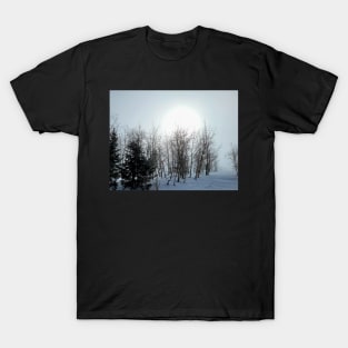 Dead Winter T-Shirt